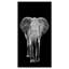 «Elephant on Dark», impression sur toile tendue-29497009