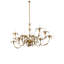 12 - Light Chandelier