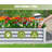 Raised Garden Bed, Outdoor Planter Garden Box For Gardening Vegetables, Fruits, Flowers-2044758639-2044758636