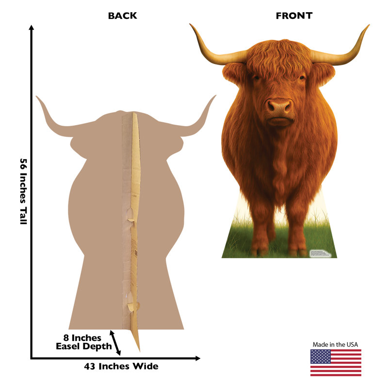 Scottish Highland Cow