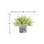 Heather Arrangement in Vase