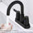 Centerset 2-handle Bathroom Faucet-88120211