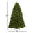 Newberry Spruce Tree-2002216231