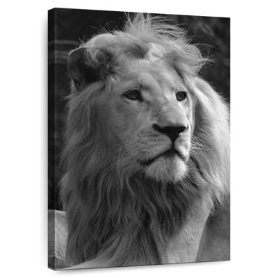 Brampt Monochromatic Lion