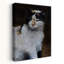 Watchful Calico Cat Contemporary Cat Wall Art Print-153916700