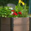 Planter-224597121