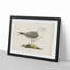 A Common Gull by Von Wright - Single Picture Frame Painting-55457439-55457434
