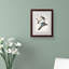 Passager Pigeon par John James Audubon - reproduction d'art sur toile-371118088-394405705