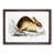 Walnut Framed selected