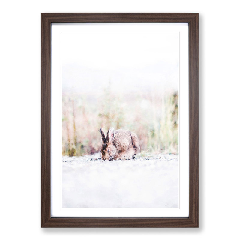 Rabbit Grazing - Picture Frame Graphic Art Print, 63cm H x 45cm W x 2cm D, Walnut Framed
