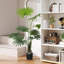 Faux Palm Tree in Pot-2128814853