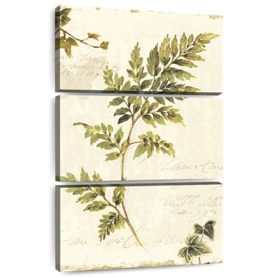 Harnek Ivies and Ferns II No Dragonfly