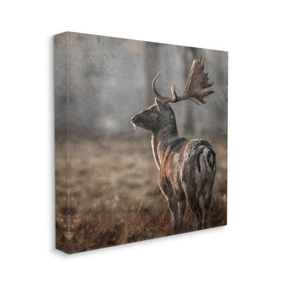 «Moose In Woodland Scene» sur toile par LSR Design Studio