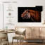 Tigre royal de Brampt-108693585