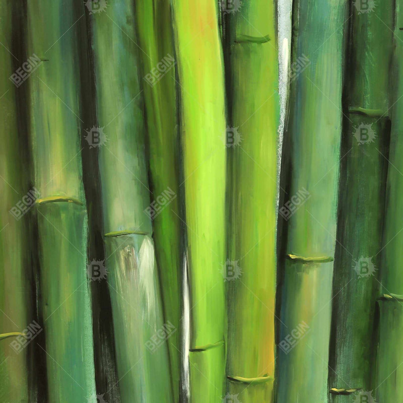 «Green Bamboo» sur