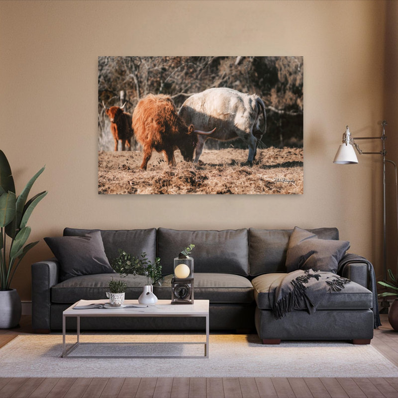 Highland Fight, abstrait, vache, paysage naturel, art, H 60 po x l 40 po