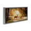 «Deer in Sunlit Grove Floater», art mural sur toile par Amber Sterling-742995377-742995378