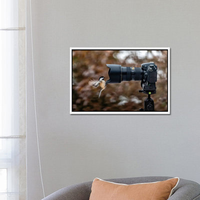 Smile by David Gardiner - Print on Canvas