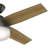 Dempsey 44" 4 - Blade Standard Ceiling Fan with Lights and Remote-56213875