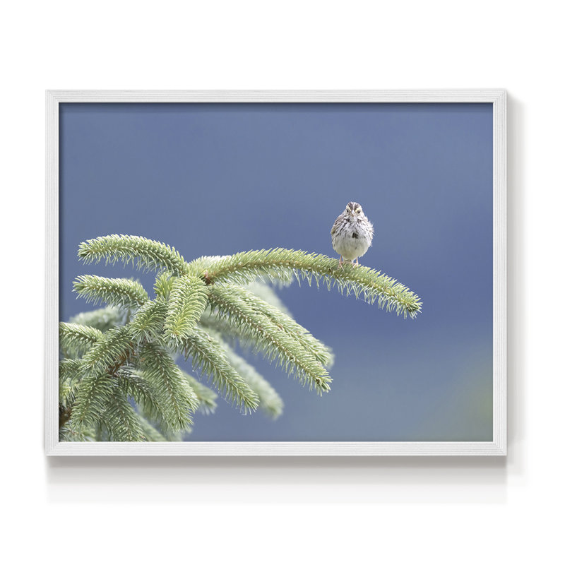 Perche à feuilles persistantes - impression encadrée - réarmable, H 11 po x l 14 po, Blanc