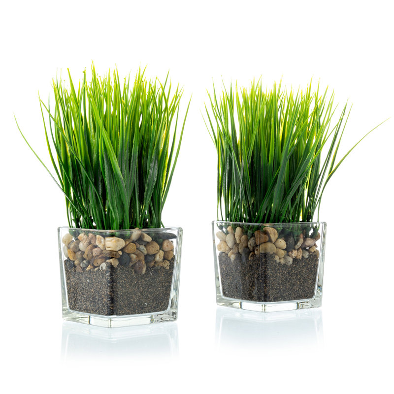 22.1cm Faux Onion Grass Grass in Glass Vase