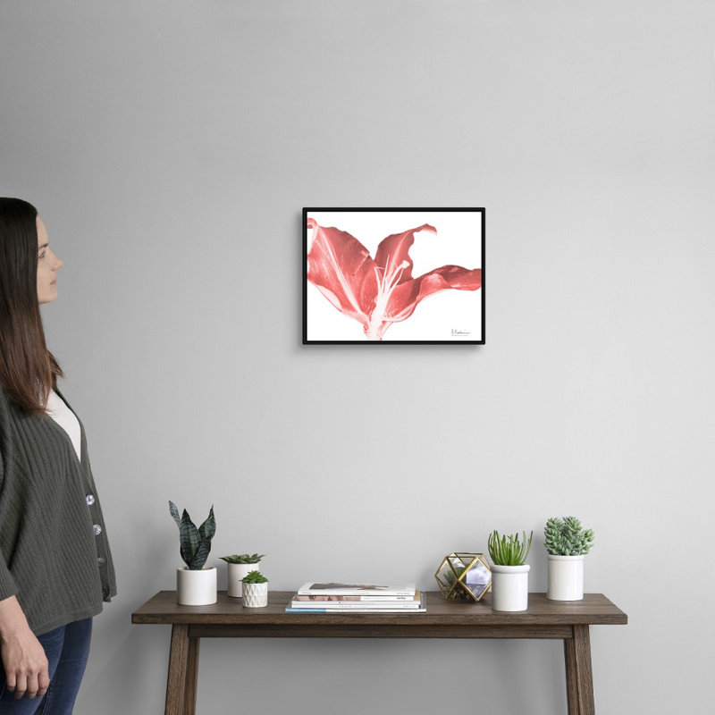 Reproduction d’art sur toile, "Coral Blossom 2" par Albert Koetsier, H 14 po x l 18 po x P 1,75 po, Toile avec cadre noir