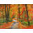 " Autumn Trail "