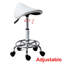 Adjustable Height Ergonomic Lab Stool Wheels-1676523472