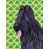 Briard sélectionné