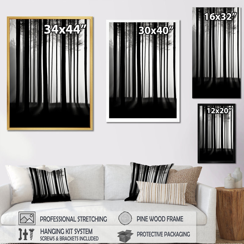 «Black and White Forest Silence», photographie sur toile, H 20 po x l 12 po x P 1 po, Cadre doré simple