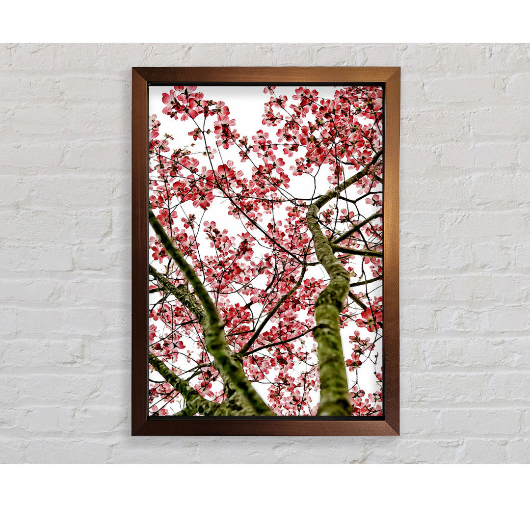 Gerahmtes Poster Pink Cherry Blossom Tree