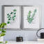 Freshly Picked I - Ensemble de 2 reproductions d'art sur toile encadrées-61455490-61455501