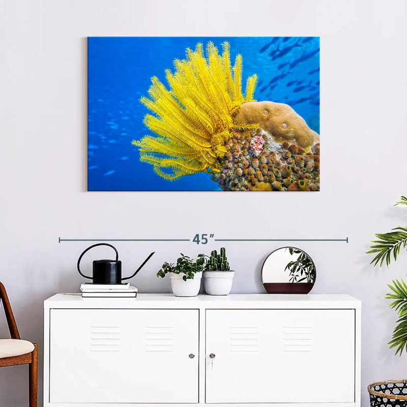 Brampt Yellow Feather Starfish, 24" H x 36" W