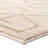 Beige/Brown Rug-1555289705