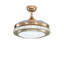 Ceiling Fan with LED Lights-917905164