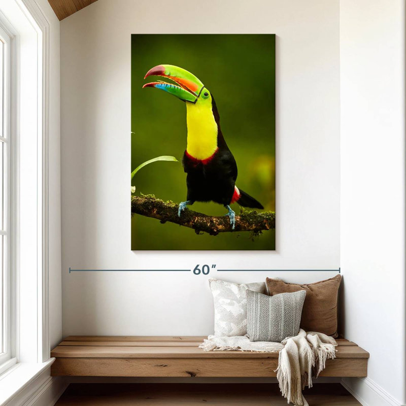 Toucan arc-en-ciel Brampt, H 48 po x l 32 po