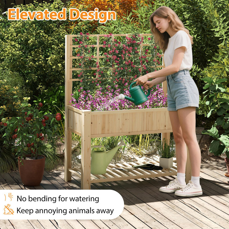 Elevated Planter