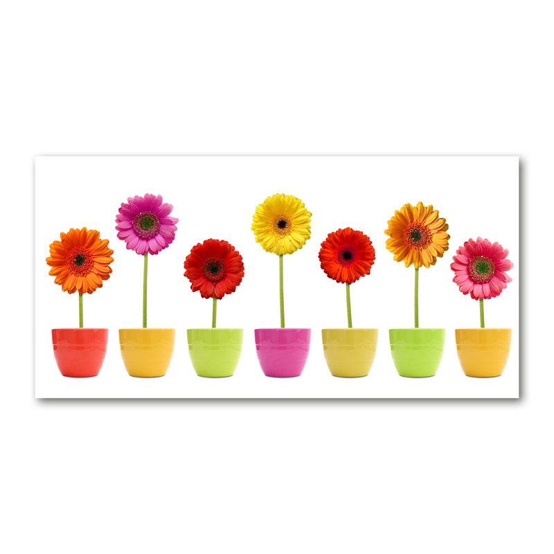 Colorful gerberas 1 Piece Wall Art, 50cm H x 100cm W x 2cm D, Canvas