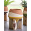 Lisette Pot Planter - Set of 3