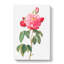 Gallic Rose In Pink by Pierre-Joseph Redoute - Wrapped Canvas-55366238