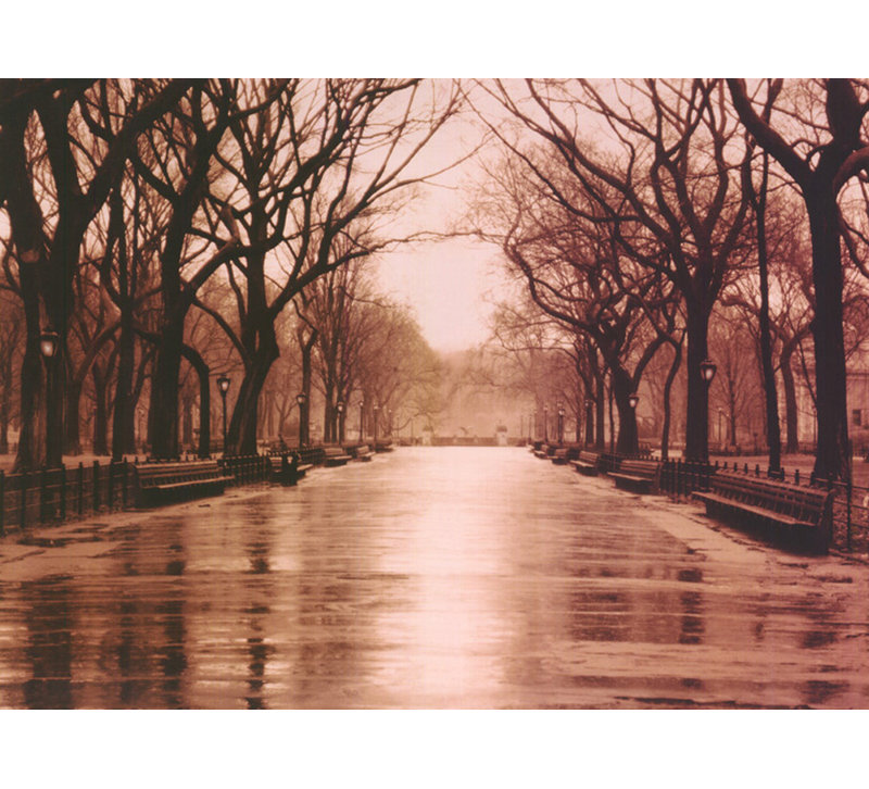 Rainy Day - Central Park, 17" H x 24" W