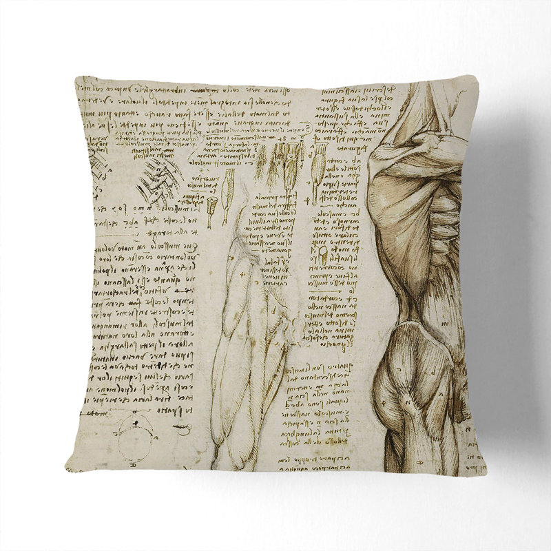 Human Anatomy Vol.6 Square Throw Cushion, Beige, 55cm H x 55cm W x 20cm D
