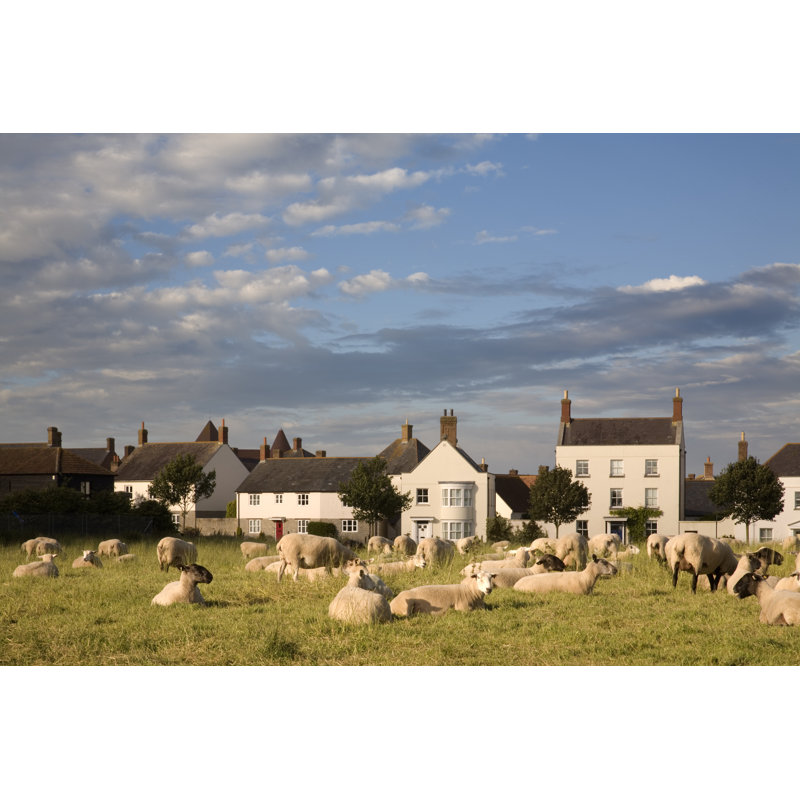 Poundbury par Blackbeck, H 12 po x l 18 po
