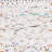 Paynter Hand Woven Cotton Abstract Rug-17579497