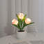 LED Night Light
