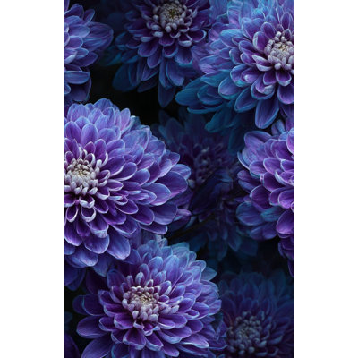Papier peint floral Moody