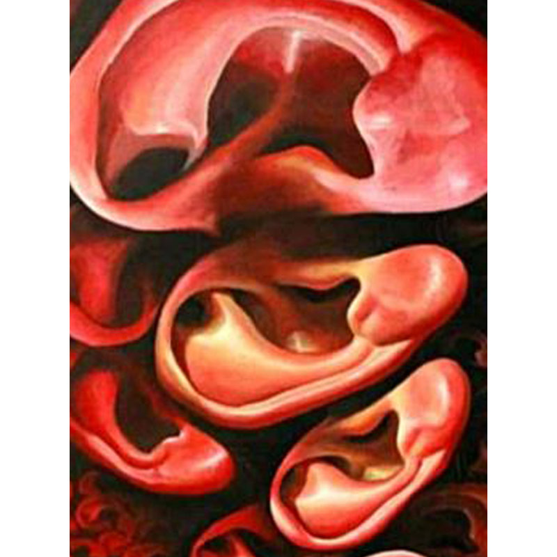 Oreilles - Hear The Noise | Acrylique sur toile | Par Dipa Talukder