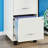 Esean 18'' Deep Mobile File Cabinet with Wood Pattern Drawer Fronts-1123703215
