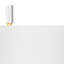 MarketPlace Table Lamp