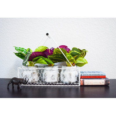 9.5'' Faux Foliage Plant in Ceramic Pot